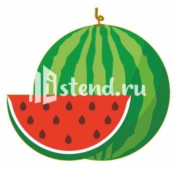 Стенд для школы "Наши достижения" - фото | Комсомольск-на-Амуре