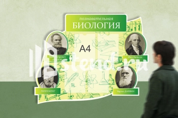 Стенд для школы "Наши достижения" - фото | Комсомольск-на-Амуре