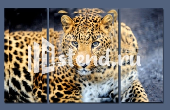 Модульная картина "Город ночью" - фото | Картины в Комсомольске-на-Амуре