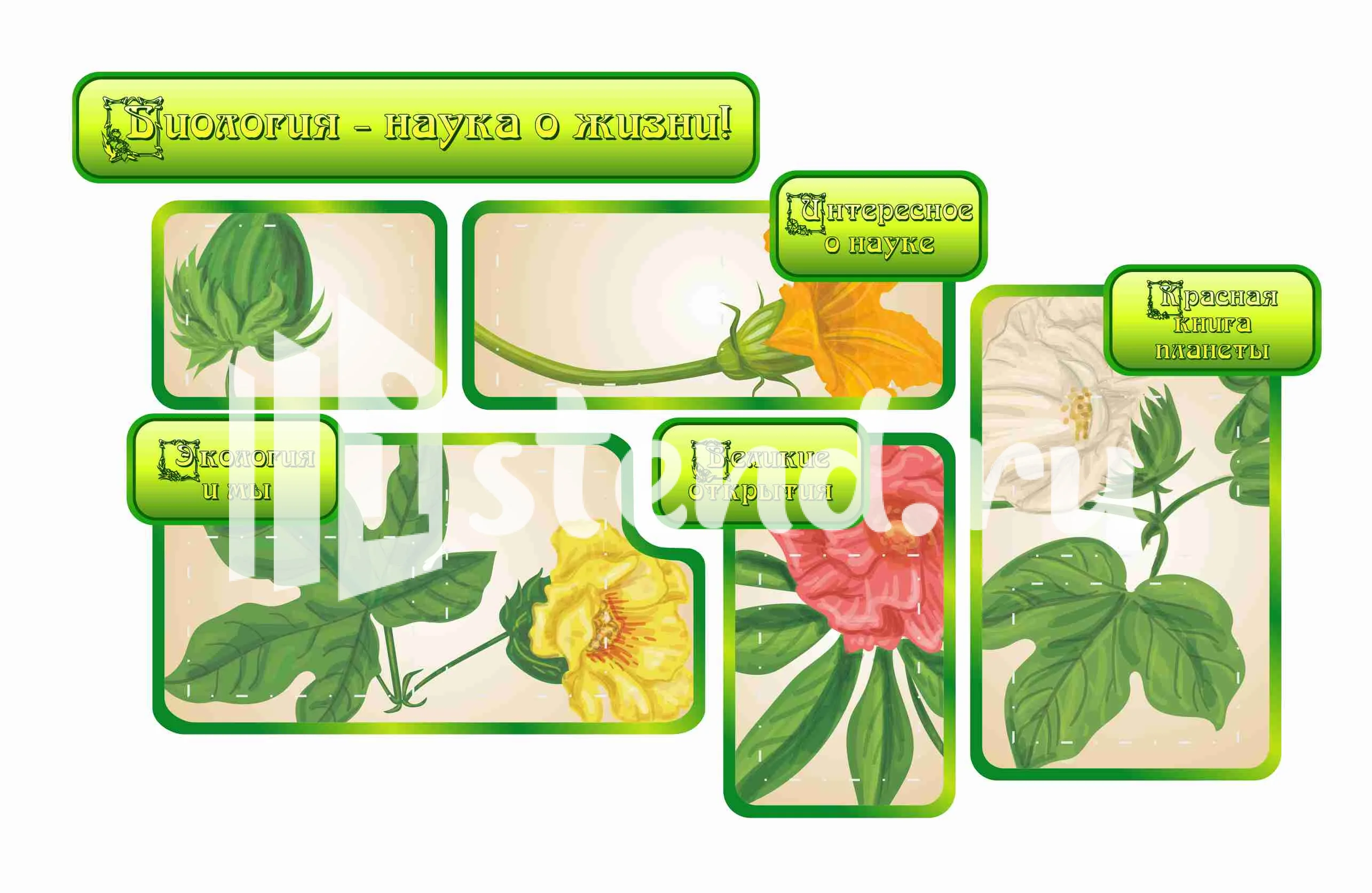 Стенды для кабинета Биологии 1650х990мм 7-А4