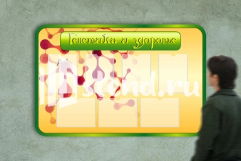 Стенд для школы "Наши достижения" - фото | Комсомольск-на-Амуре