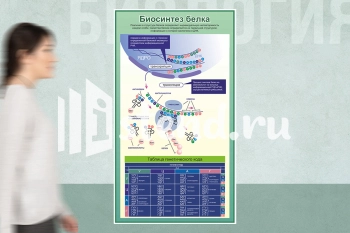 Стенд для школы "Наши достижения" - фото | Комсомольск-на-Амуре