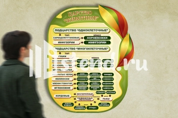 Стенд для школы "Наши достижения" - фото | Комсомольск-на-Амуре