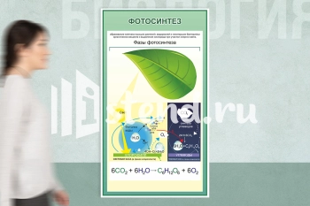 Стенд для школы "Наши достижения" - фото | Комсомольск-на-Амуре