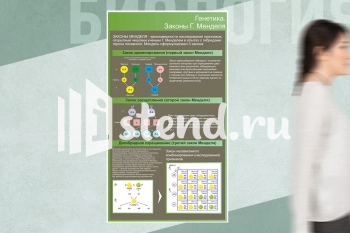 Стенд для школы "Наши достижения" - фото | Комсомольск-на-Амуре