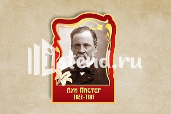 Стенд для школы "Наши достижения" - фото | Комсомольск-на-Амуре