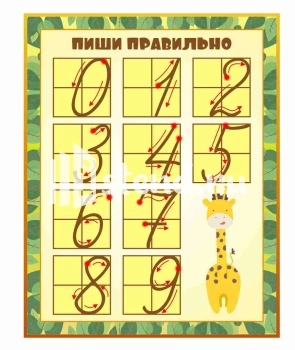 Стенд для школы "Наши достижения" - фото | Комсомольск-на-Амуре