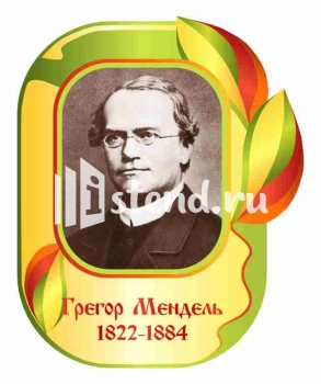 Стенд для школы "Наши достижения" - фото | Комсомольск-на-Амуре