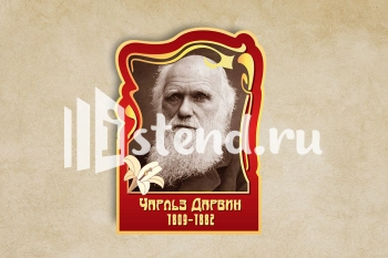 Стенд для школы "Наши достижения" - фото | Комсомольск-на-Амуре