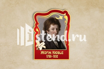 Стенд для школы "Наши достижения" - фото | Комсомольск-на-Амуре