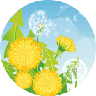 Яркие стенды для оформления детского сада в Комсомольске-на-Амуре